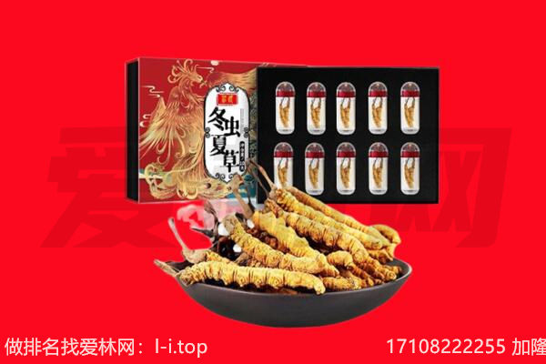 泉州安溪县回收虫草.jpg